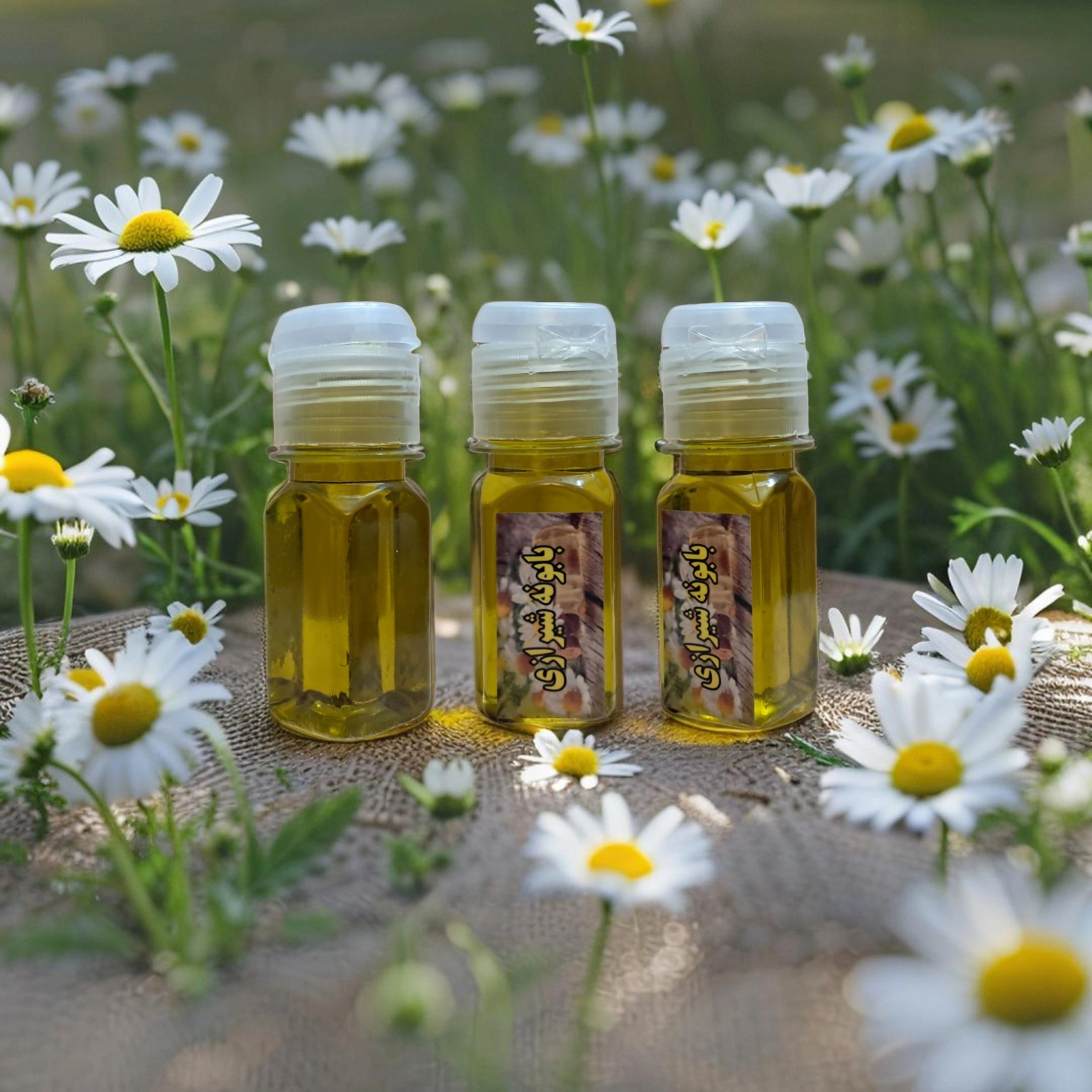 روغن بابونه شیرازی